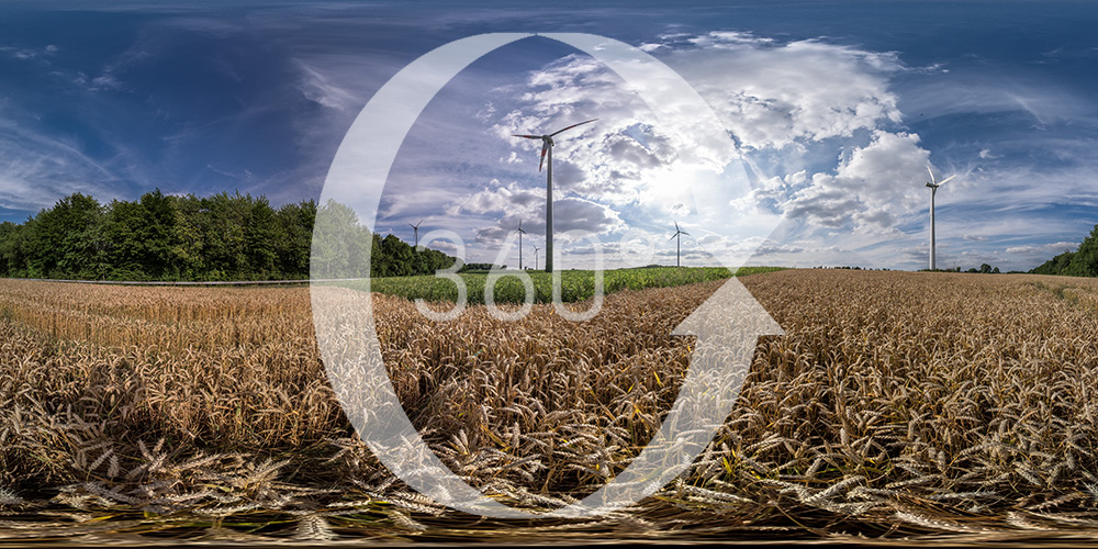 Windräder im Kornfeld