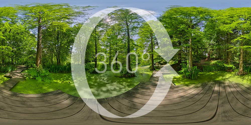 Der Tertiärteich im Botanischen Garten