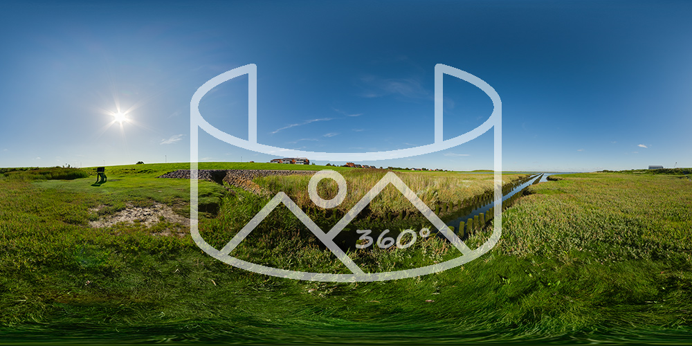 Die Salzwiesen von Norderney